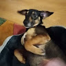 Profilbild